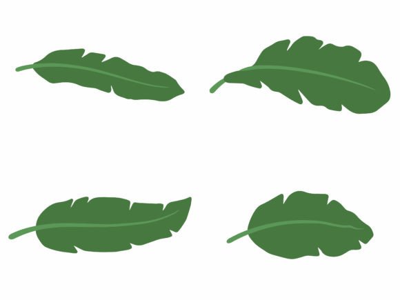 Banana Leaf Tropical Leaves Illustration Review for Real Embroidery Projects