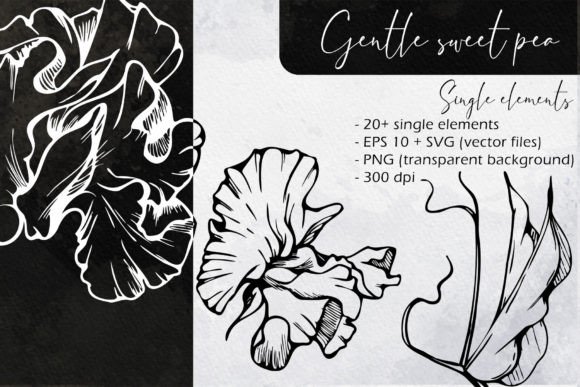 Gentle Sweet Pea Single Elements: A Designer’s Real-World Review