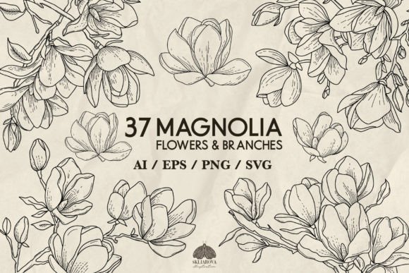 Magnolia SVG PNG EPS Review