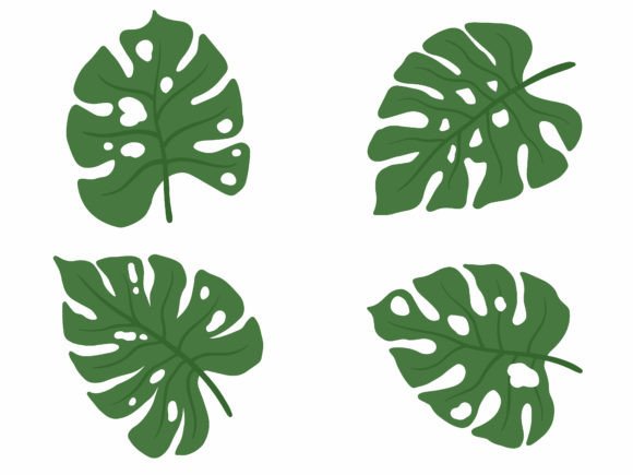 Tropical Green Leaves Illustration Review: A Designer’s Take